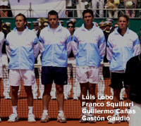 Equipo Argentino de Copa Davis 2001